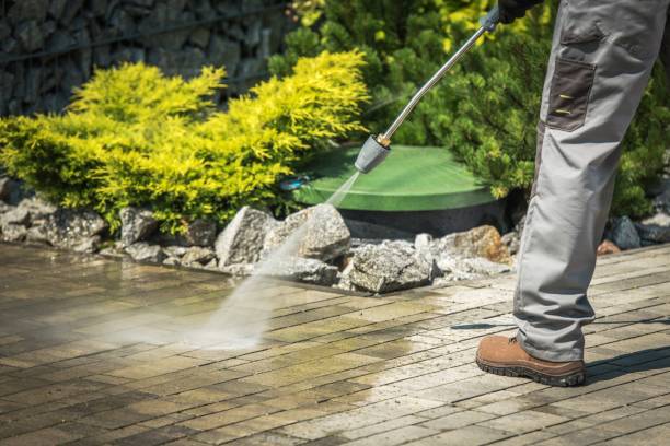 Best Pre-Holiday Cleaning  in Waterloo, IN